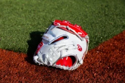 Rawlings Liberty Advanced Color Series 34-inch Catcher's Mitt -Baseball Equipment Select Stores RLACM34FPWSP 6