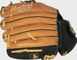 Rawlings Sure Catch 10-Inch Youth I-Web Glove 9 Rawlings Sure Catch 10-Inch Youth I-Web Glove -Baseball Equipment Select Stores SC100TBI 4