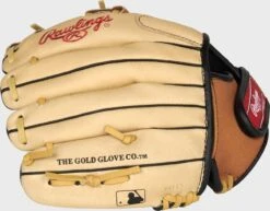 Rawlings Sure Catch 10.5-Inch Youth I-Web Glove -Baseball Equipment Select Stores SC105TCI 4