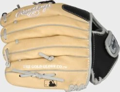 Rawlings Sure Catch 11-Inch Youth I-Web Glove -Baseball Equipment Select Stores SC110BCI 4